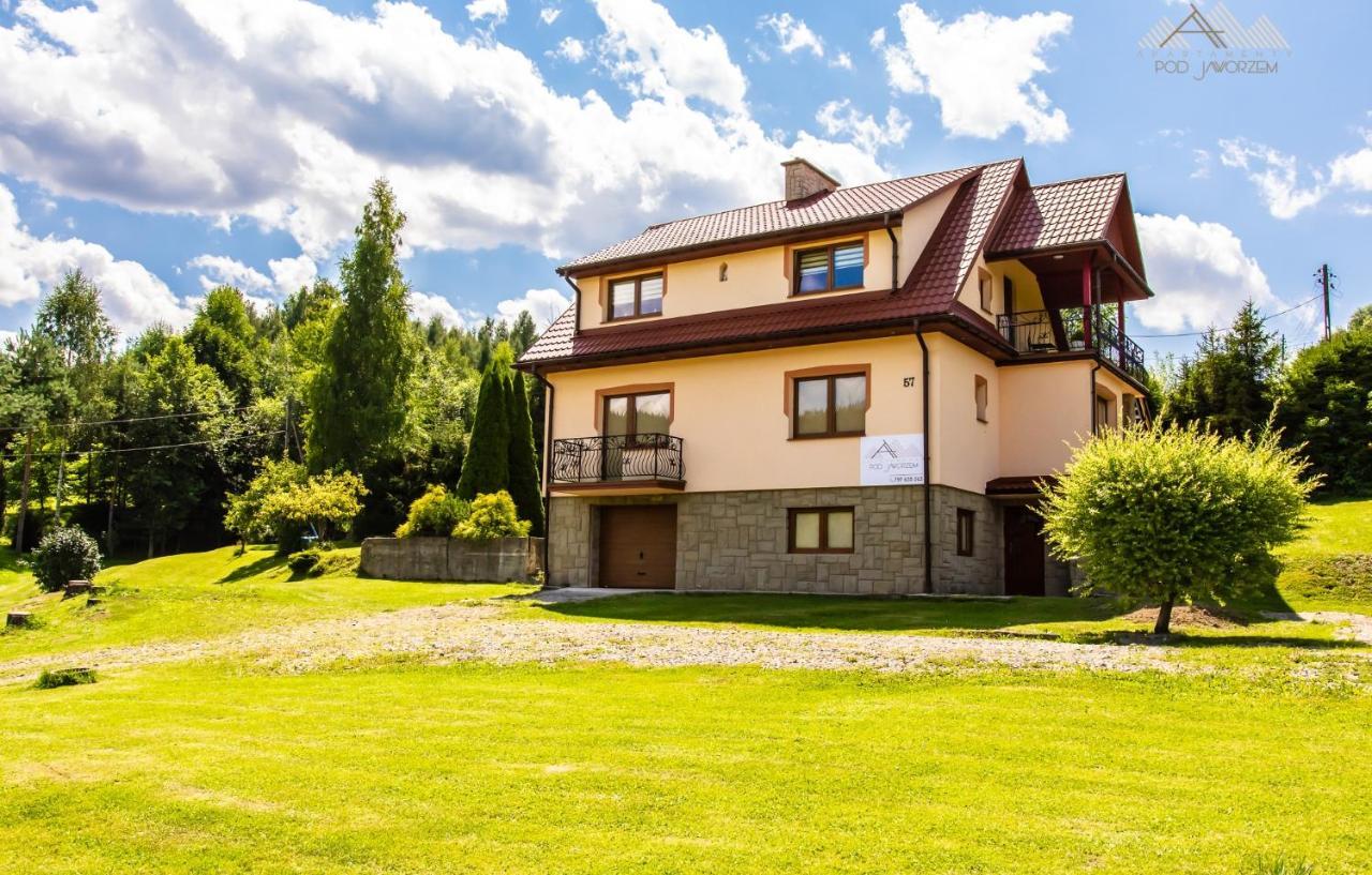 Apartamenty Pod Jaworzem Ptaszkowa Kültér fotó
