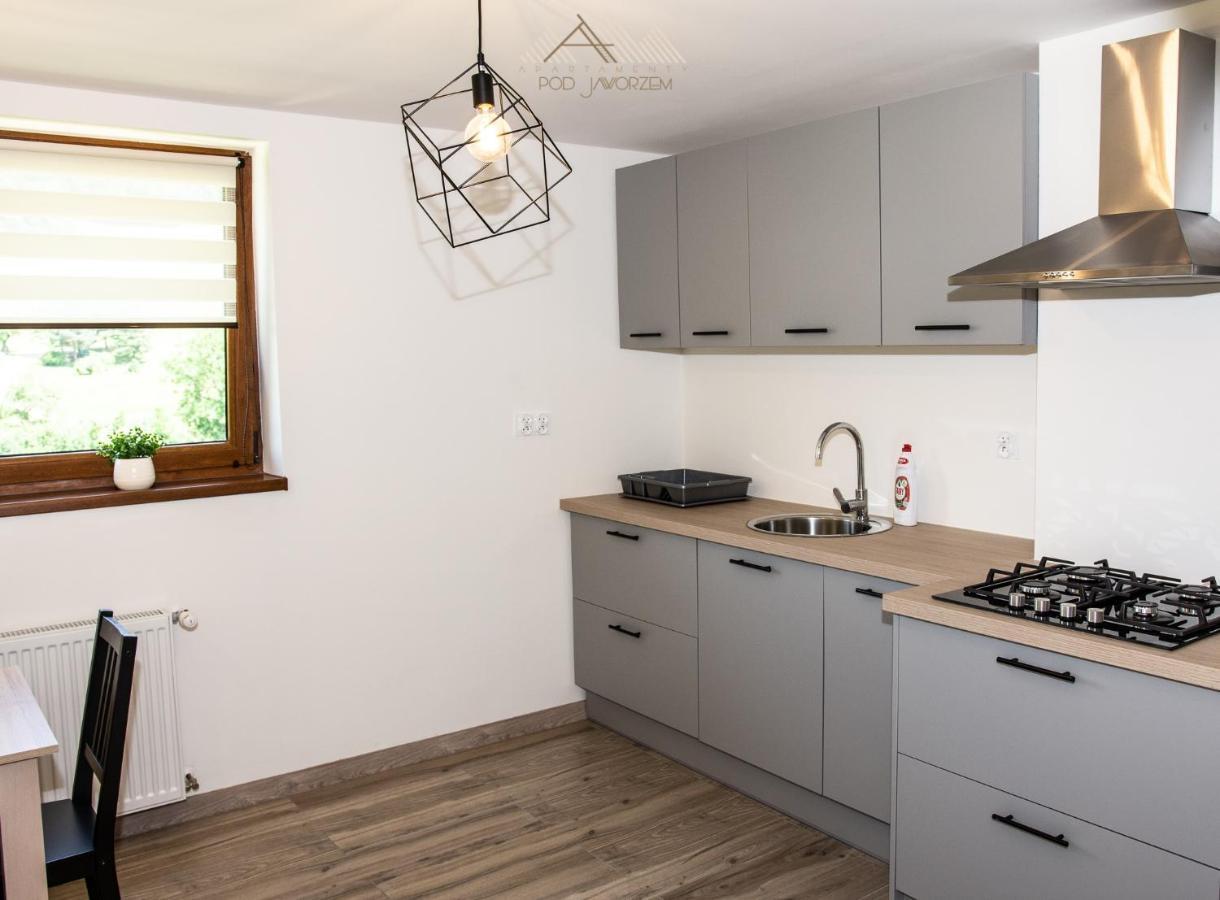 Apartamenty Pod Jaworzem Ptaszkowa Kültér fotó
